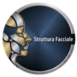 Struttura Facciale